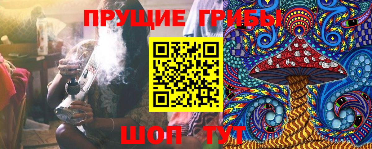 купить  цена  Вход с VPN  Домодедово  Галлюциногенные грибы Psilocybine cubensis 